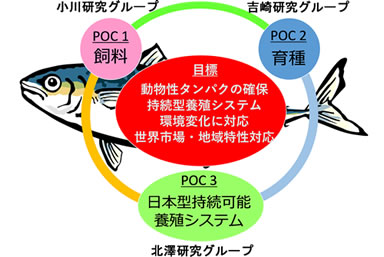 図　研究の概略図と担当グループ